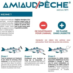 Seanox Kit Ikejime * Accessoires|Outillage