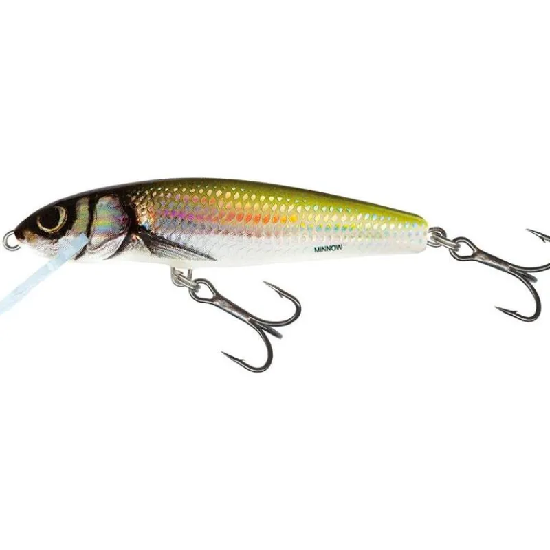 Salmo Leurre Coulant Minnow Sinking - 7Cm * Leurres Truite