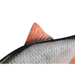 Fox Rage Leurre Souple Armé Ultra-Realistic Roach Replicant * Leurres Carnassiers