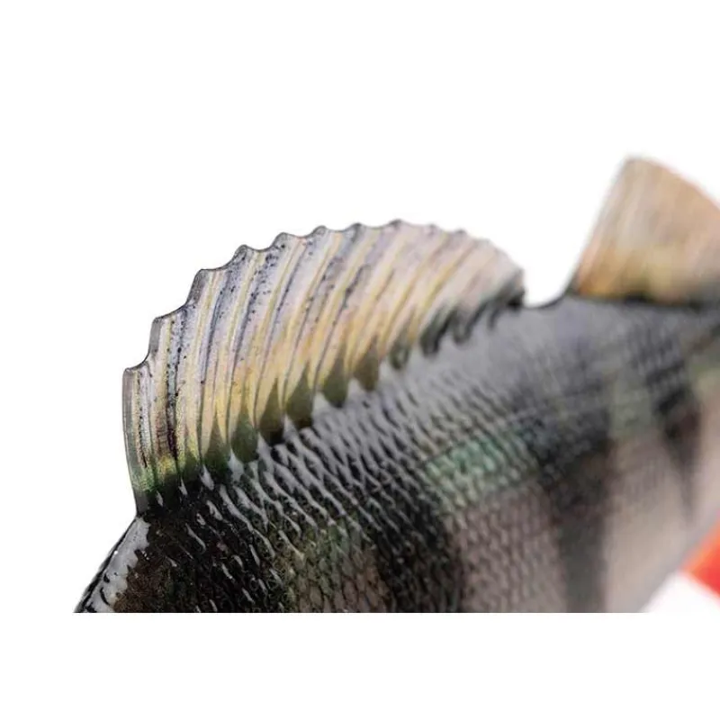 Fox Rage Leurre Souple Armé Ultra-Realistic Perch Replicant * Leurres Carnassiers