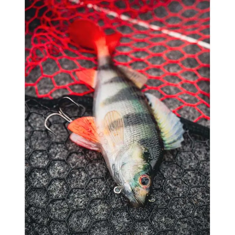 Fox Rage Leurre Souple Armé Ultra-Realistic Perch Replicant * Leurres Carnassiers