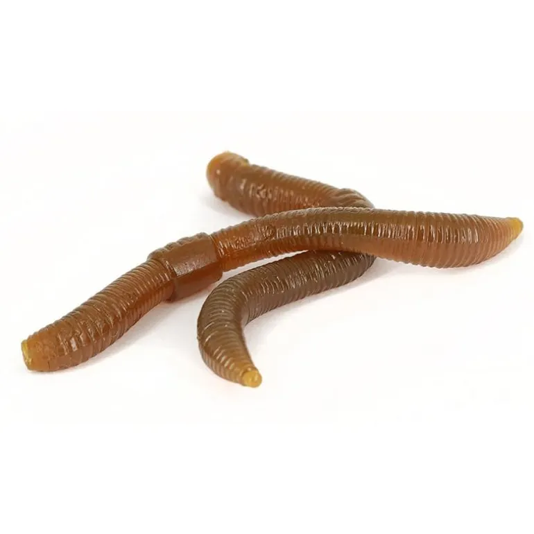 Leurre Souple Trout Master Dendrobaena - 6Cm - Par 15
