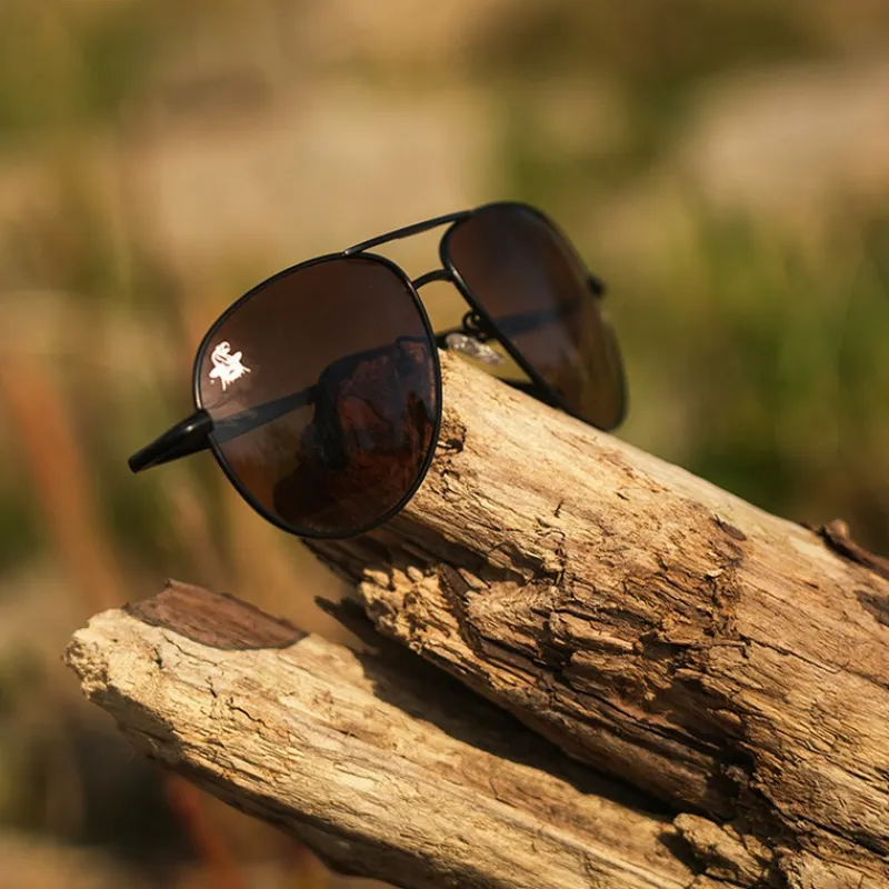 Black Cat Lunettes Polarisantes Sunglasses Polarised Flyer * Lunettes Polarisantes|Lunettes Polarisantes