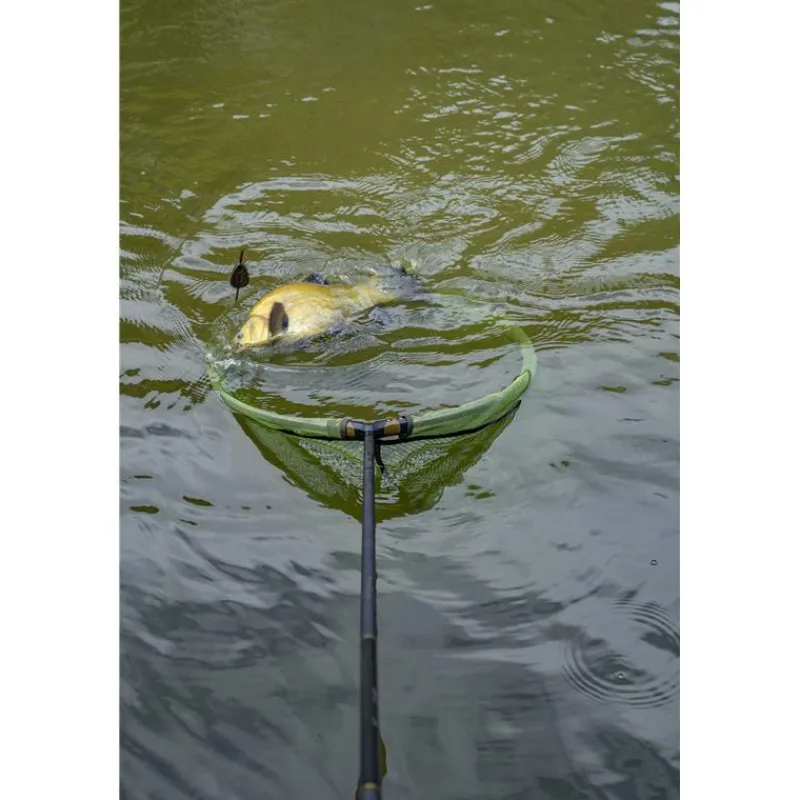 Korum Manche D'épuisette Allrounder Multi Handle * Epuisettes - Bourriches