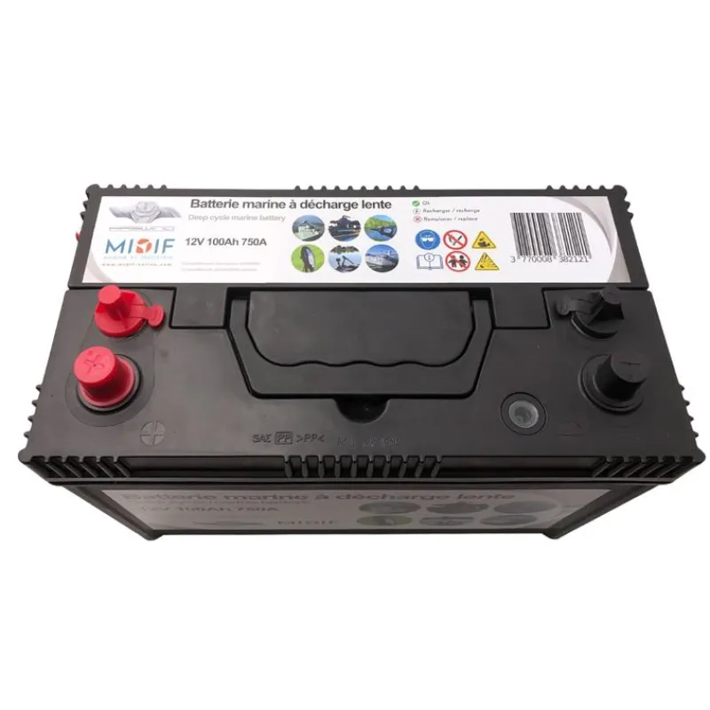 Haswing Pack Energy Osapian 55 Lbs 2026 Avec Batterie Marine 12V100amp * Moteurs Électriques Bateau