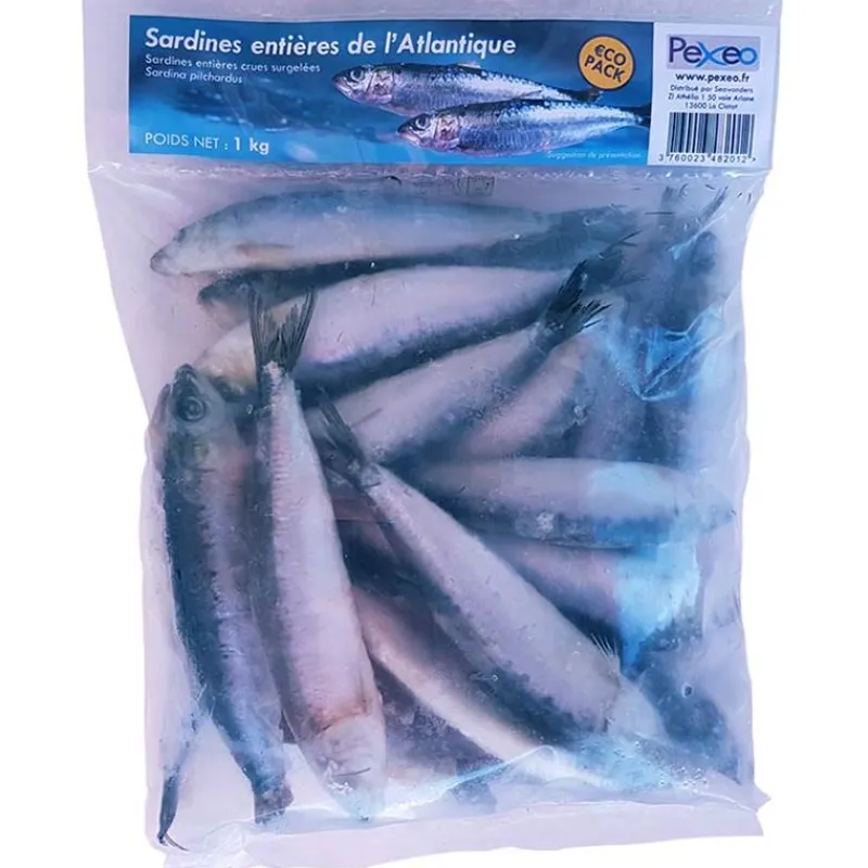 Pexeo Sardines Entières Atlantique Surgelées Eco * Appâts Naturels - Amorces
