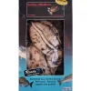 Pexeo Seiches Medium Surgelées Ready'x * Appâts Naturels - Amorces
