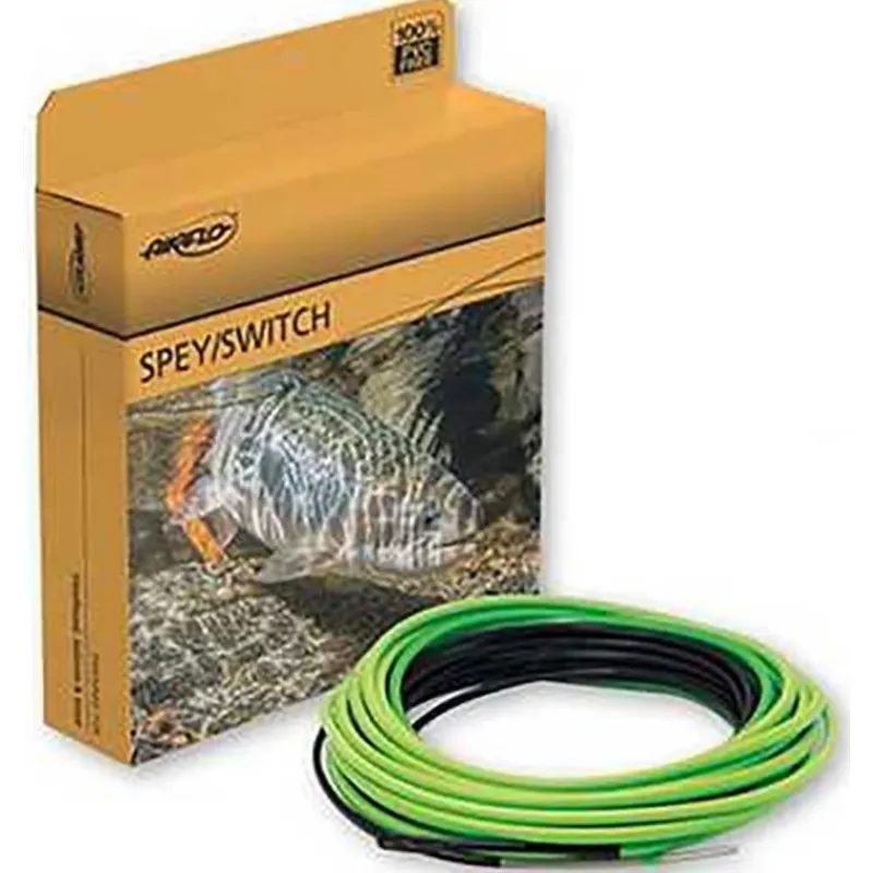 Airflo Soie Skagit Comp F.I.S.T Sinking * Soies Mouche - Backing