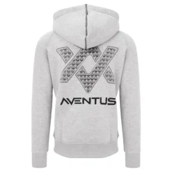 Guru Sweat Homme Aventus Hoodie - Gris * Sweats & Polaires